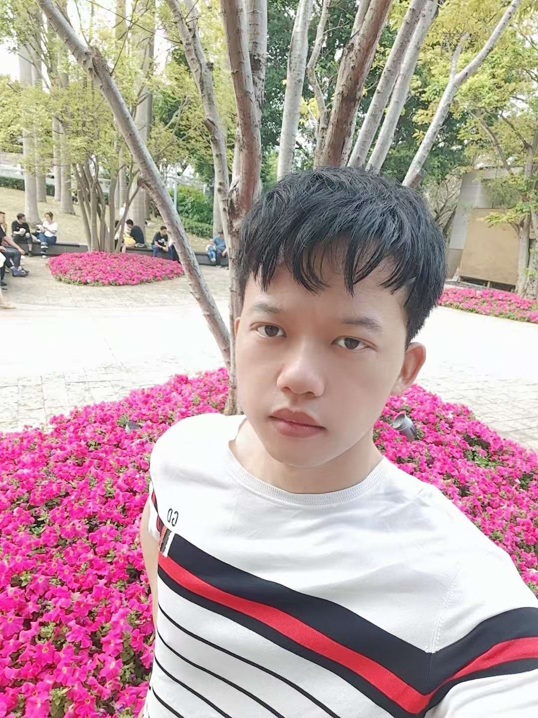 丛丛相亲交友平台