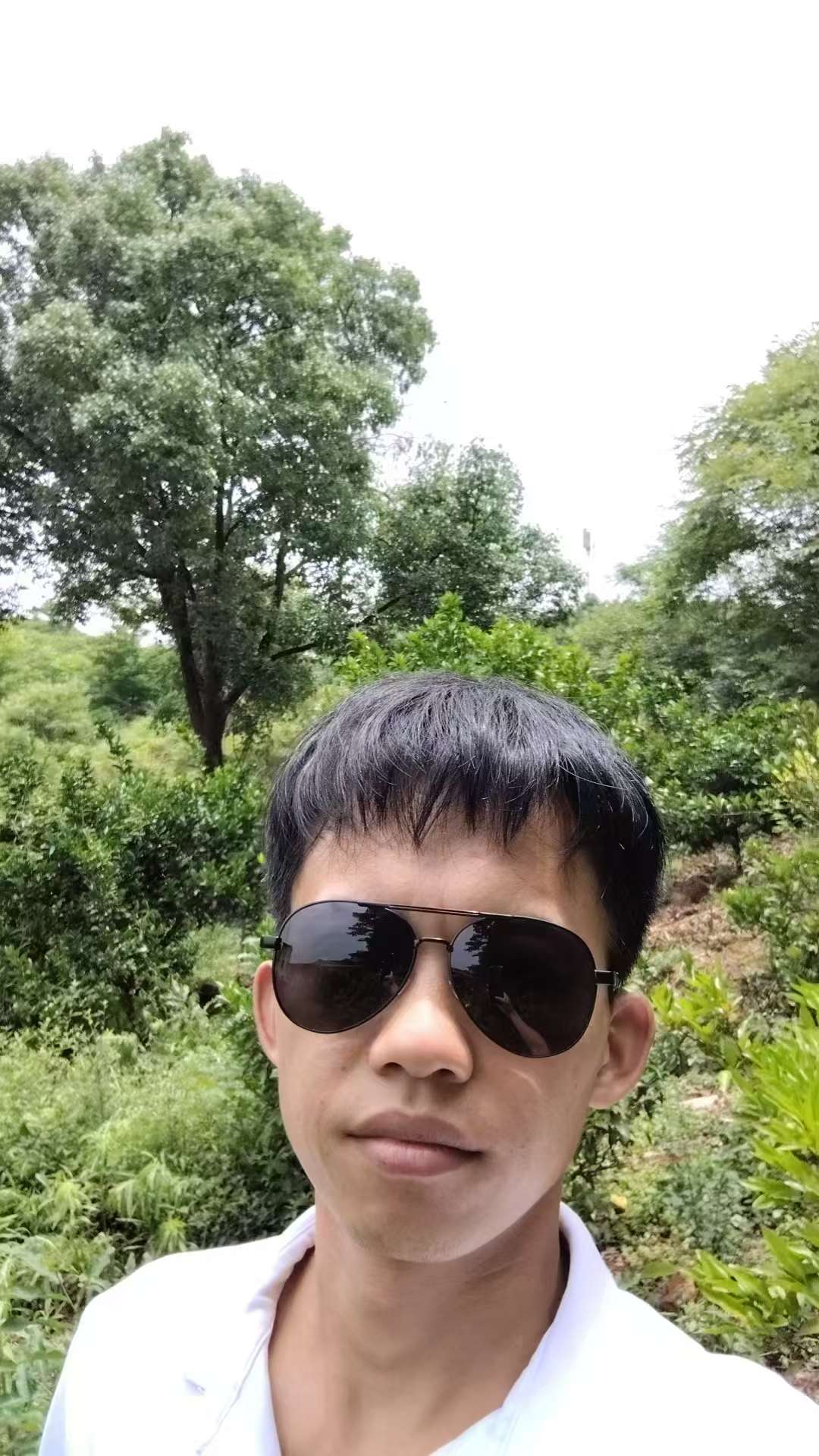丛丛相亲交友平台