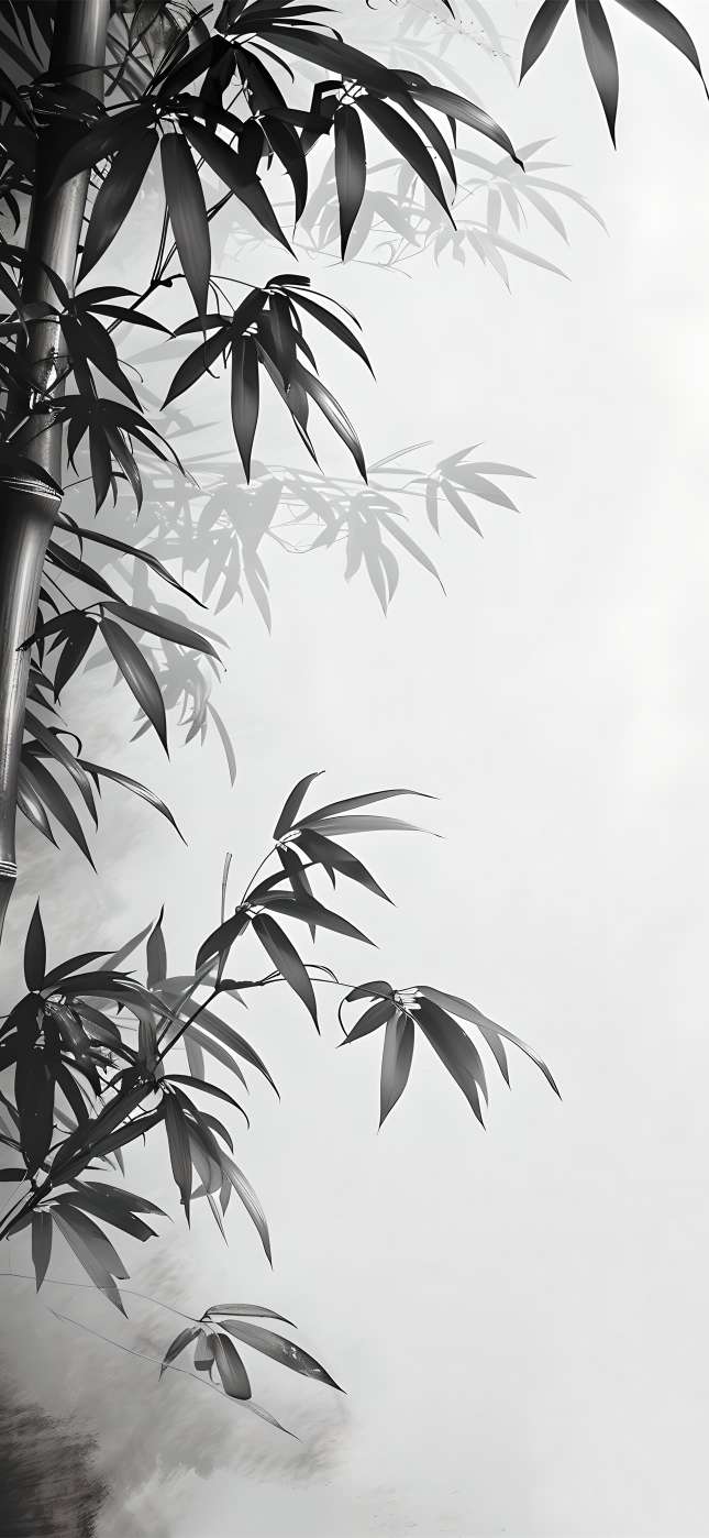 丛丛相亲交友平台