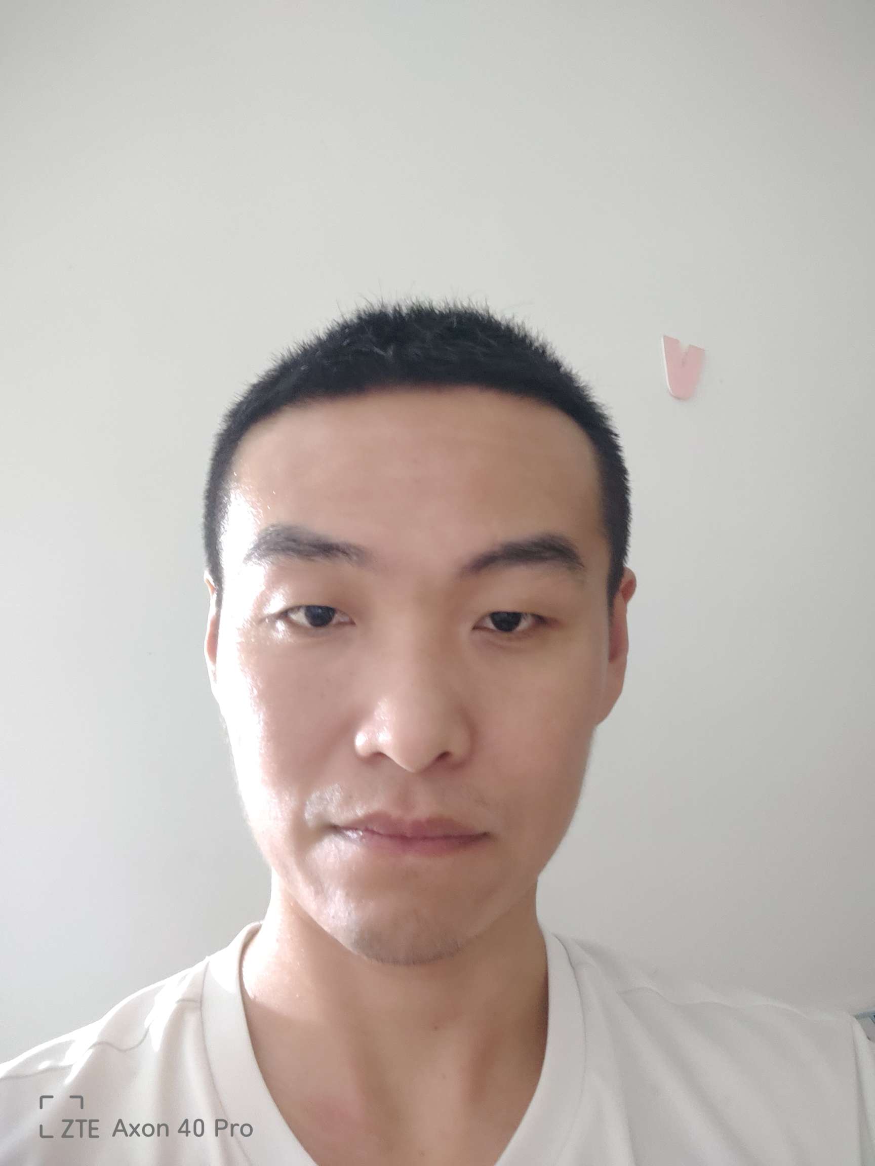 丛丛相亲交友平台