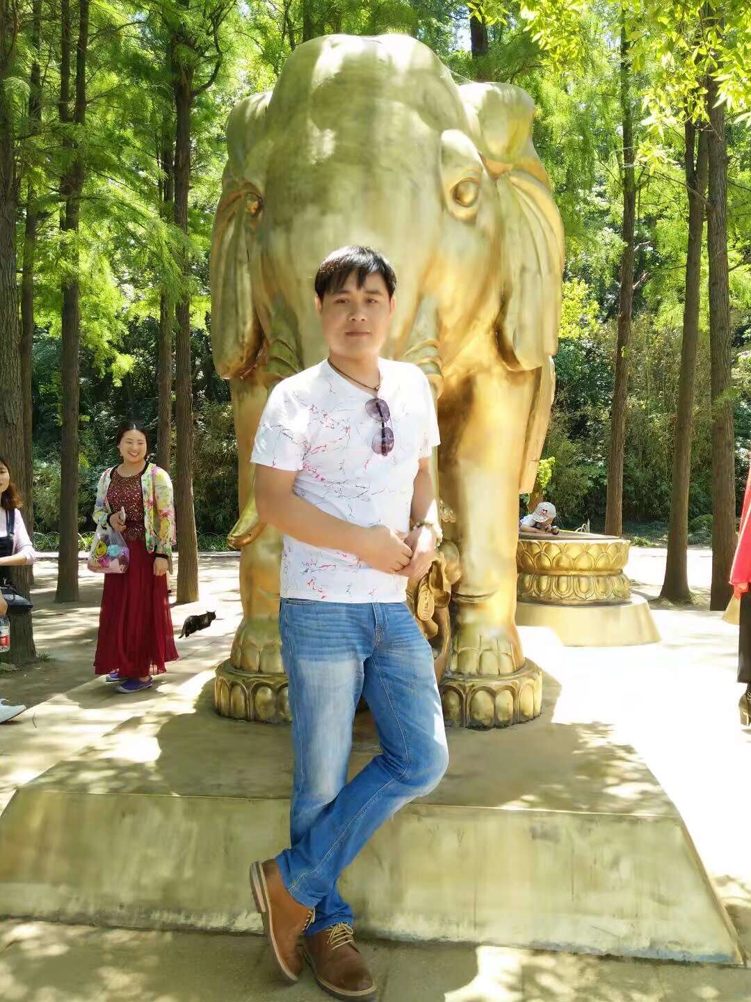 丛丛相亲交友平台