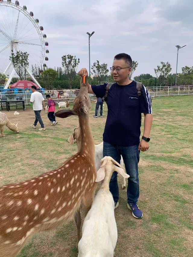 丛丛相亲交友平台