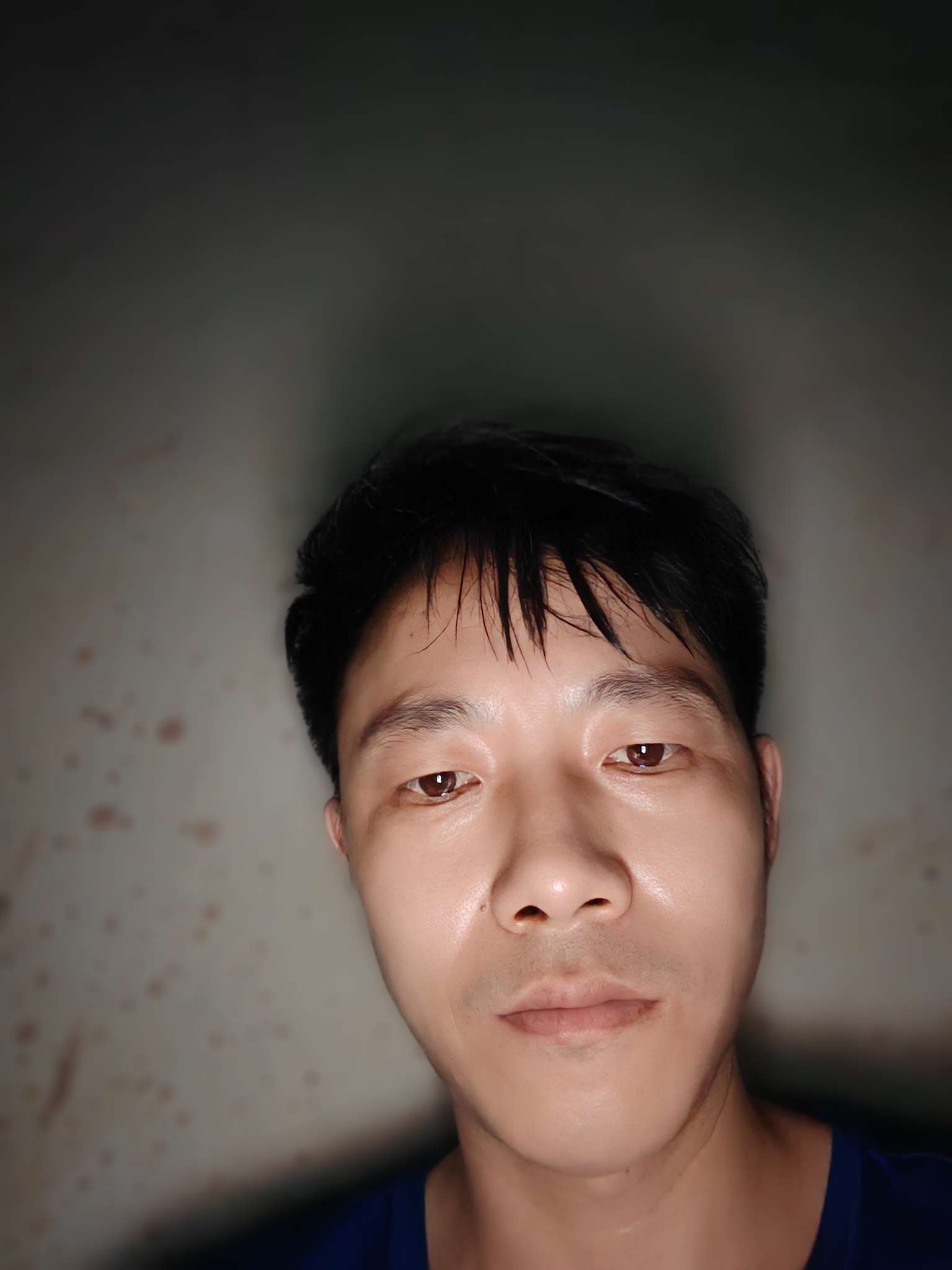 丛丛相亲交友平台