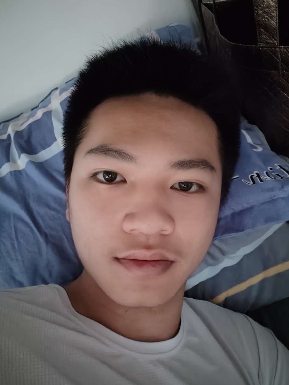 丛丛相亲交友平台