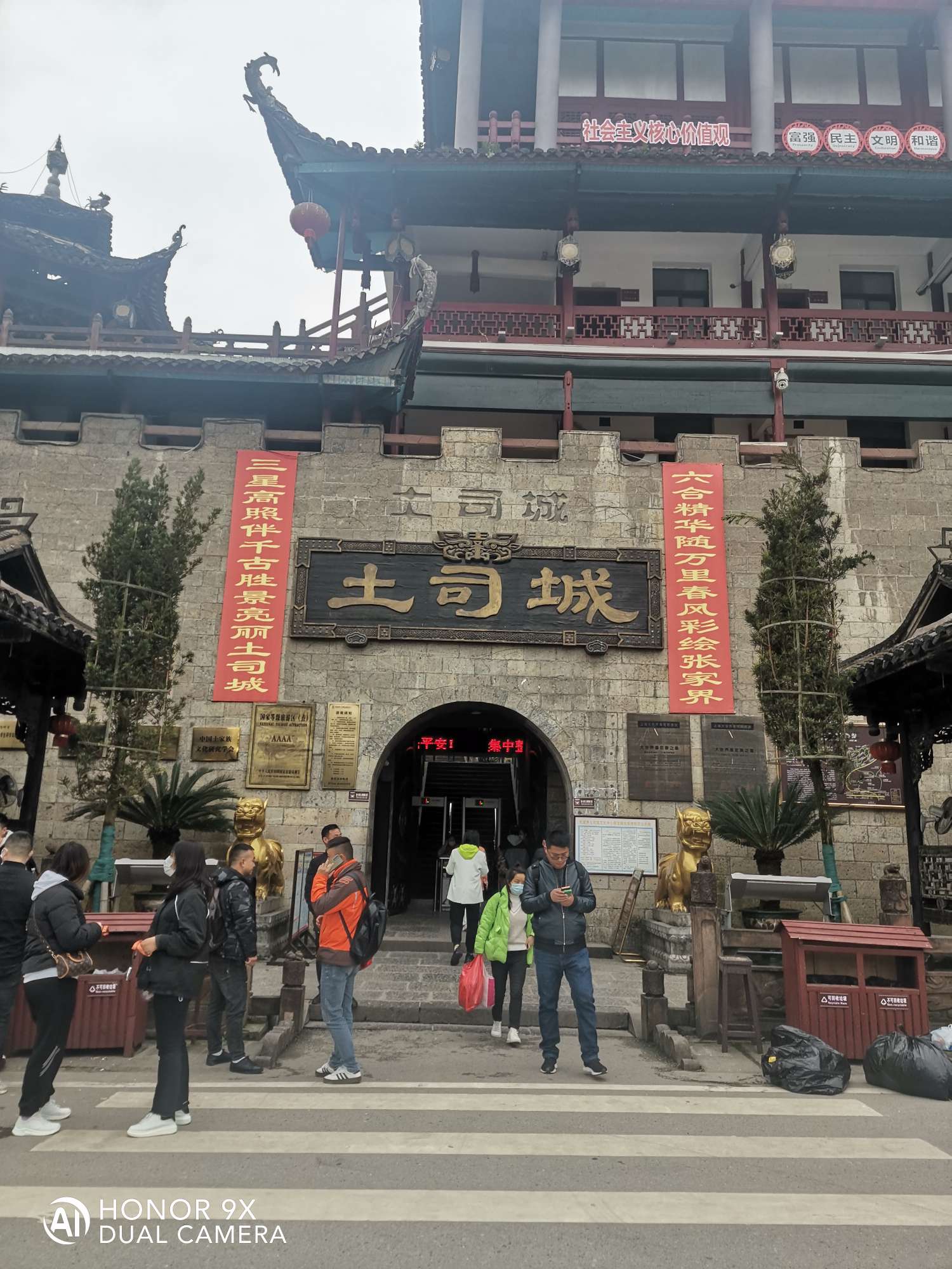 丛丛相亲交友平台