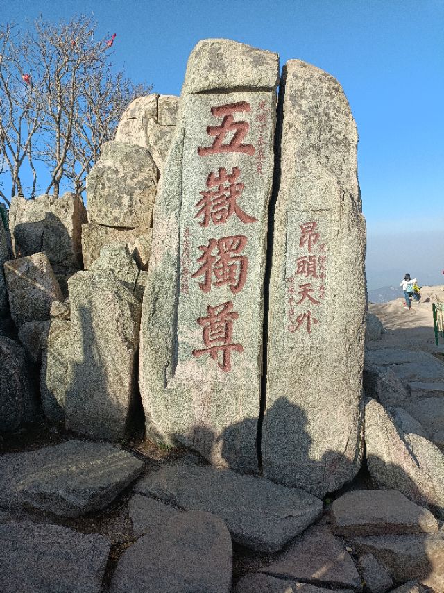 丛丛相亲交友平台