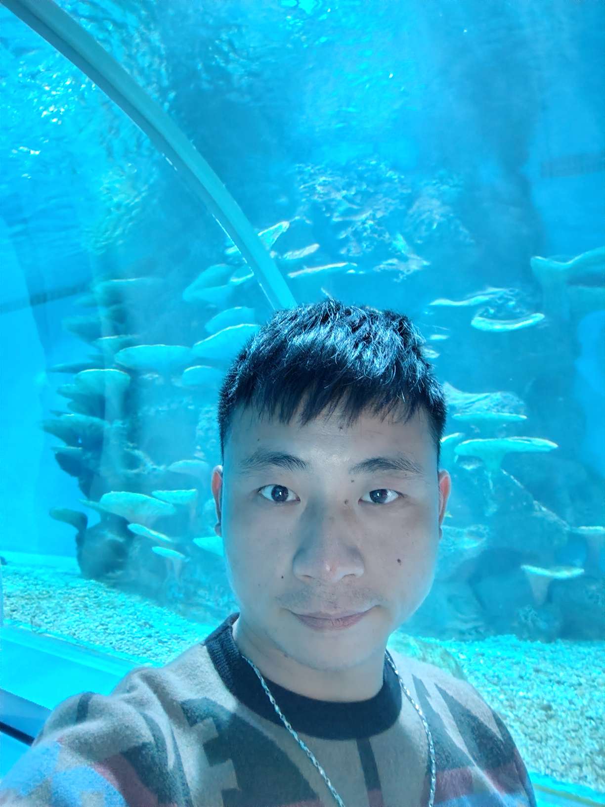 丛丛相亲交友平台