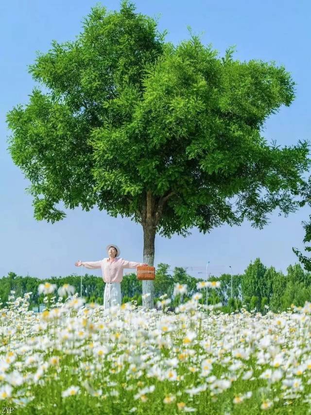 丛丛相亲交友平台