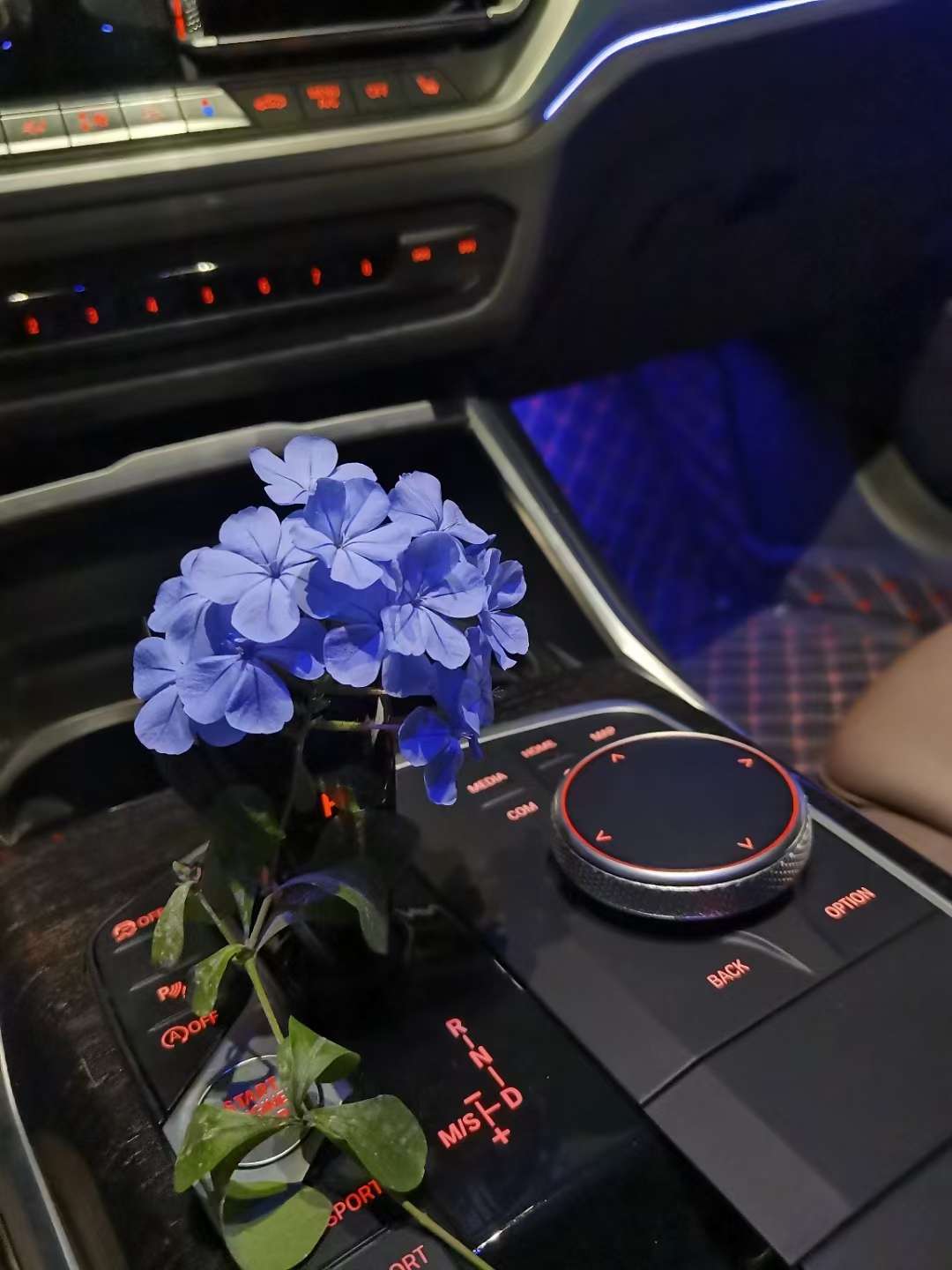 丛丛相亲交友平台