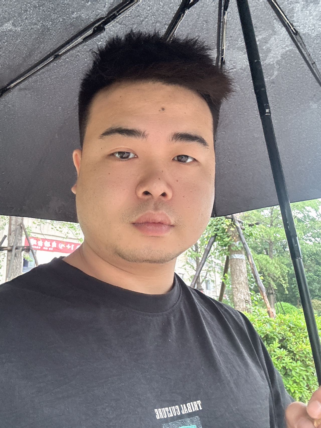 丛丛相亲交友平台