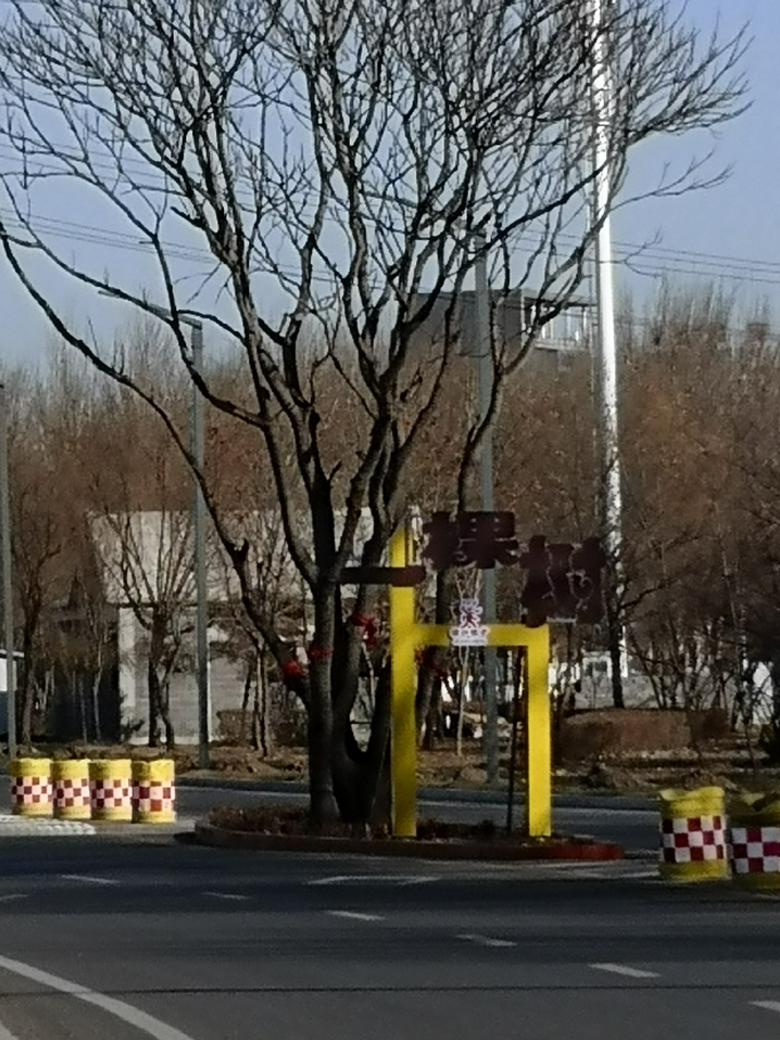 找搭子