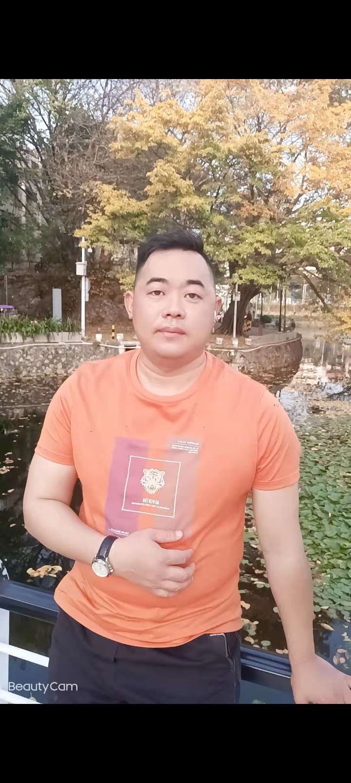 丛丛相亲交友平台
