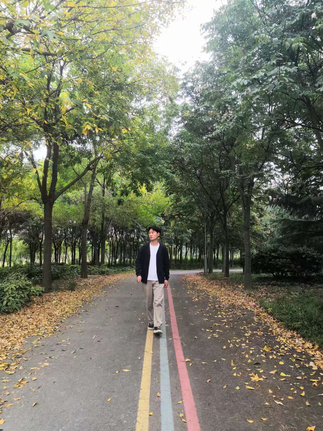 丛丛相亲交友平台