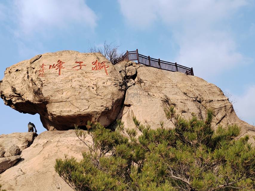 丛丛相亲交友平台