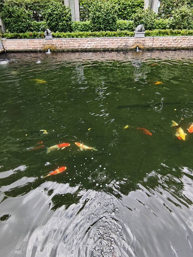 丛丛相亲交友平台