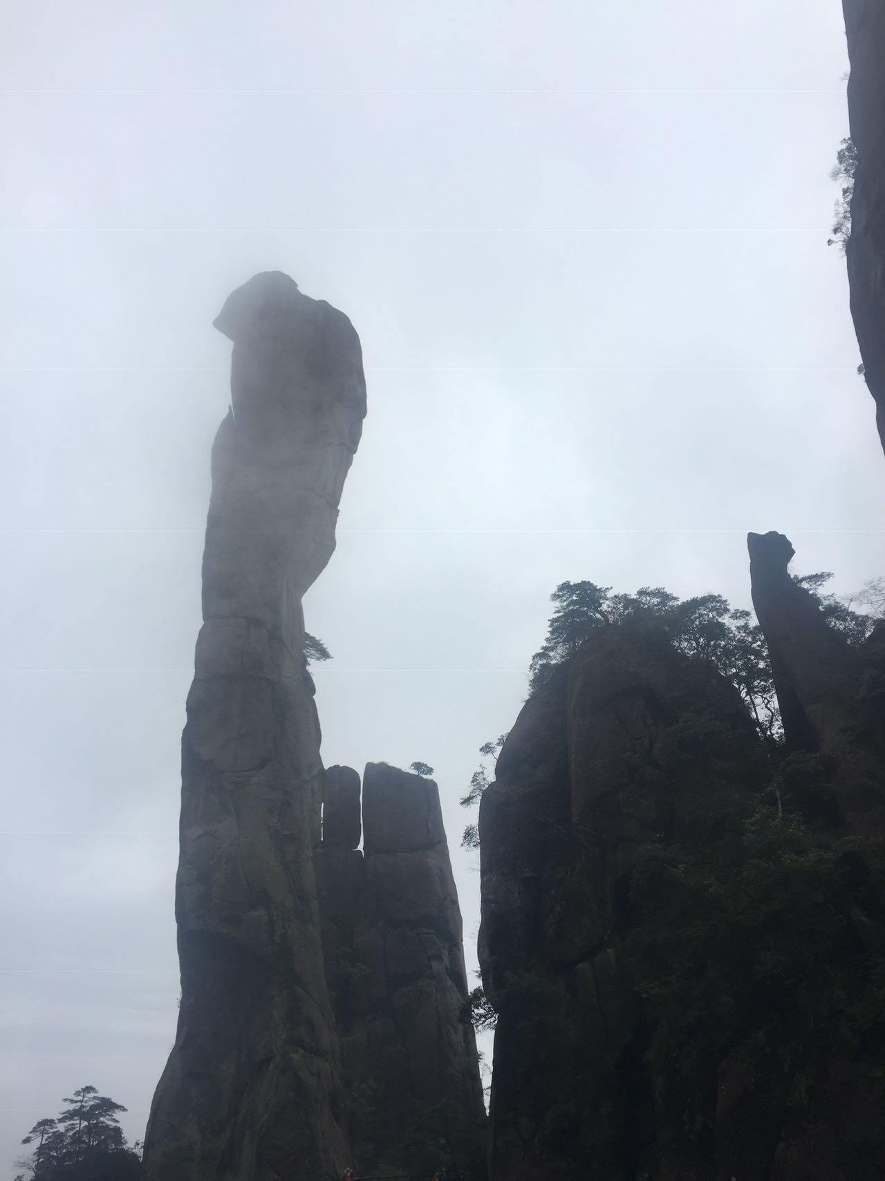 丛丛相亲交友平台