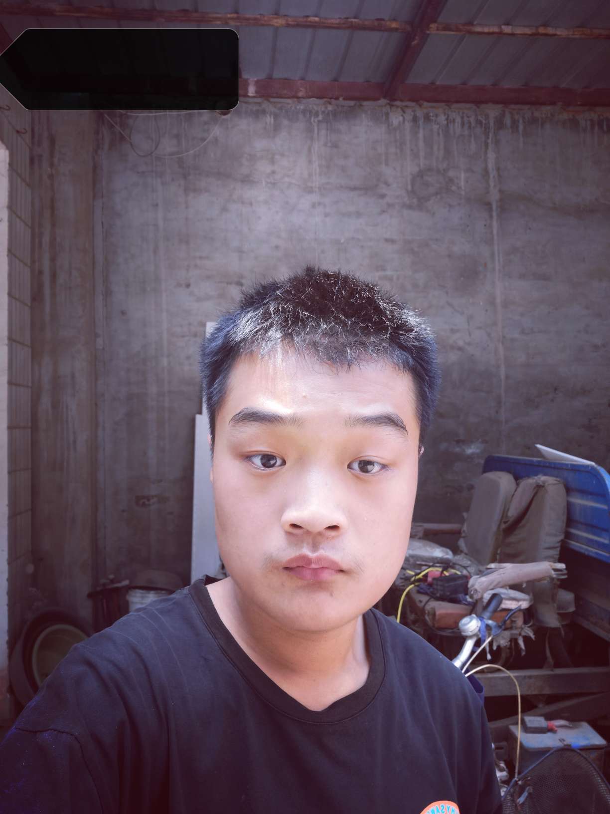 丛丛相亲交友平台