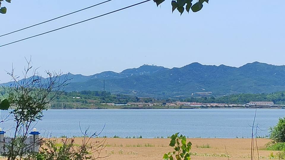 丛丛相亲交友平台