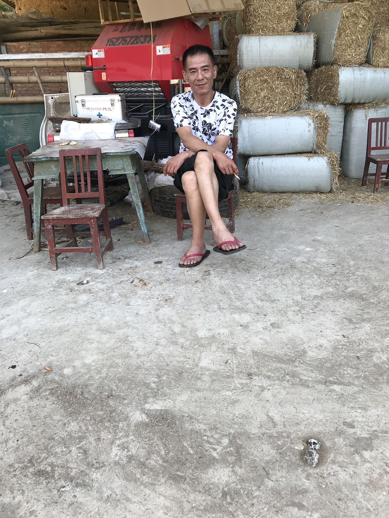 丛丛相亲交友平台