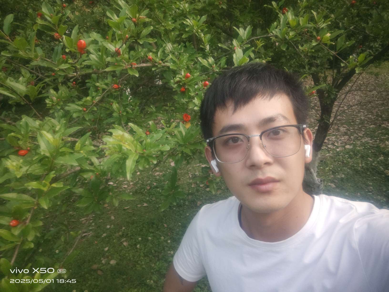 丛丛相亲交友平台