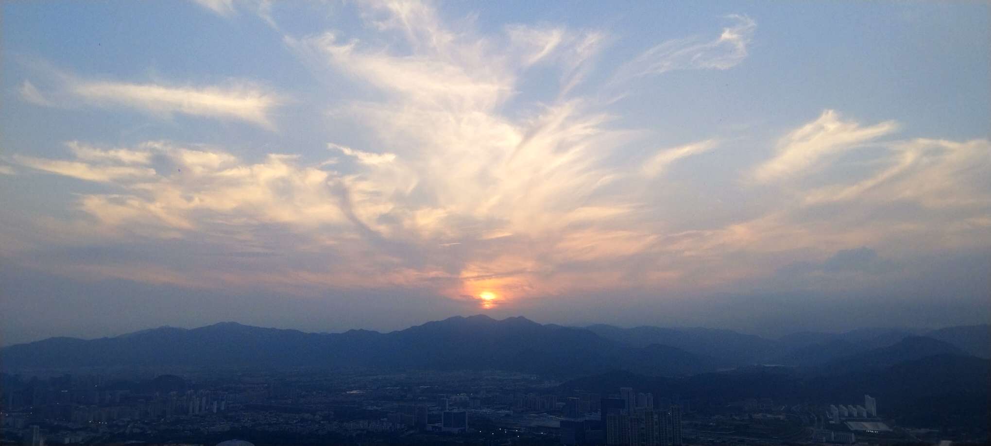 丛丛相亲交友平台