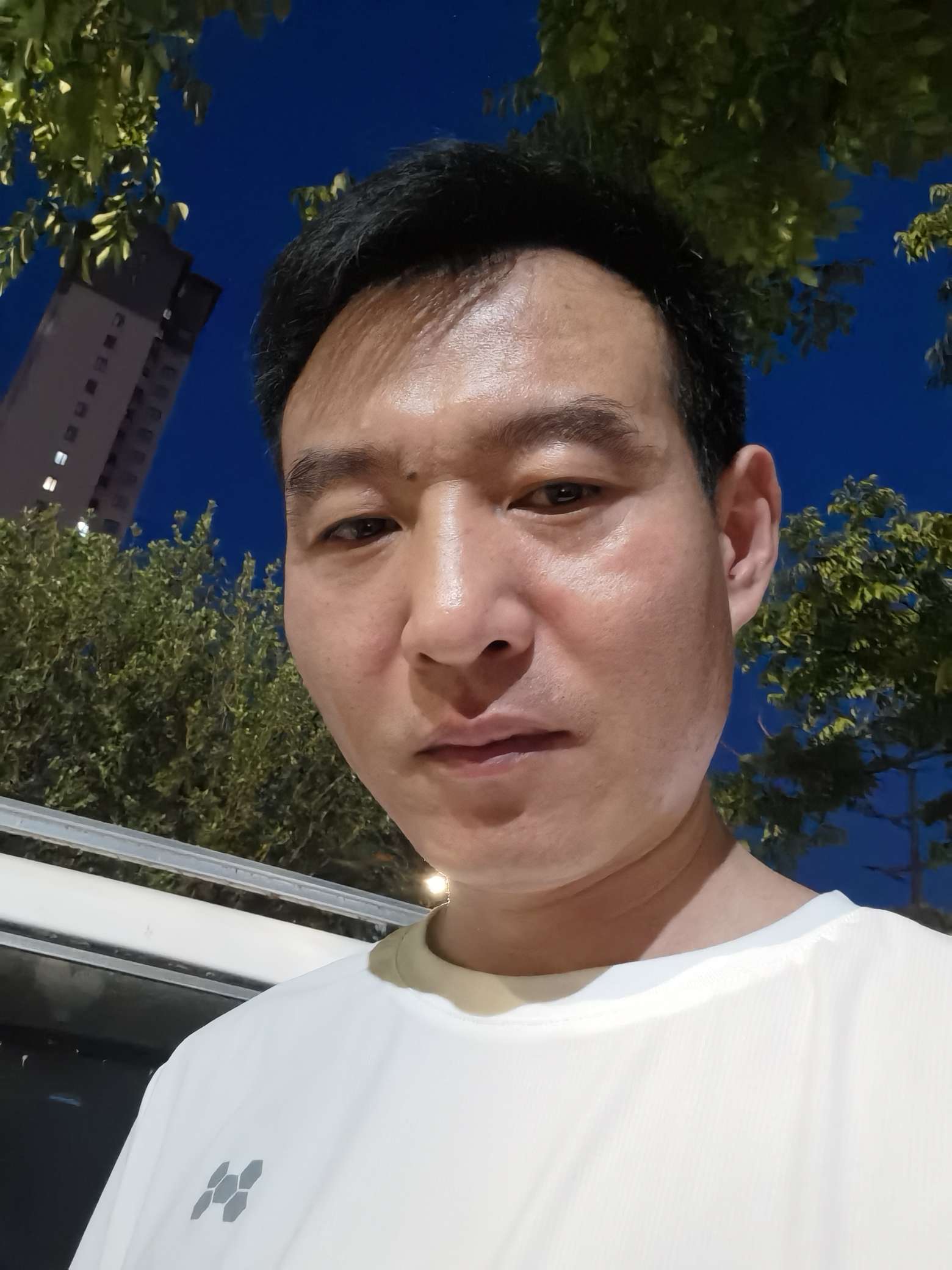 丛丛相亲交友平台