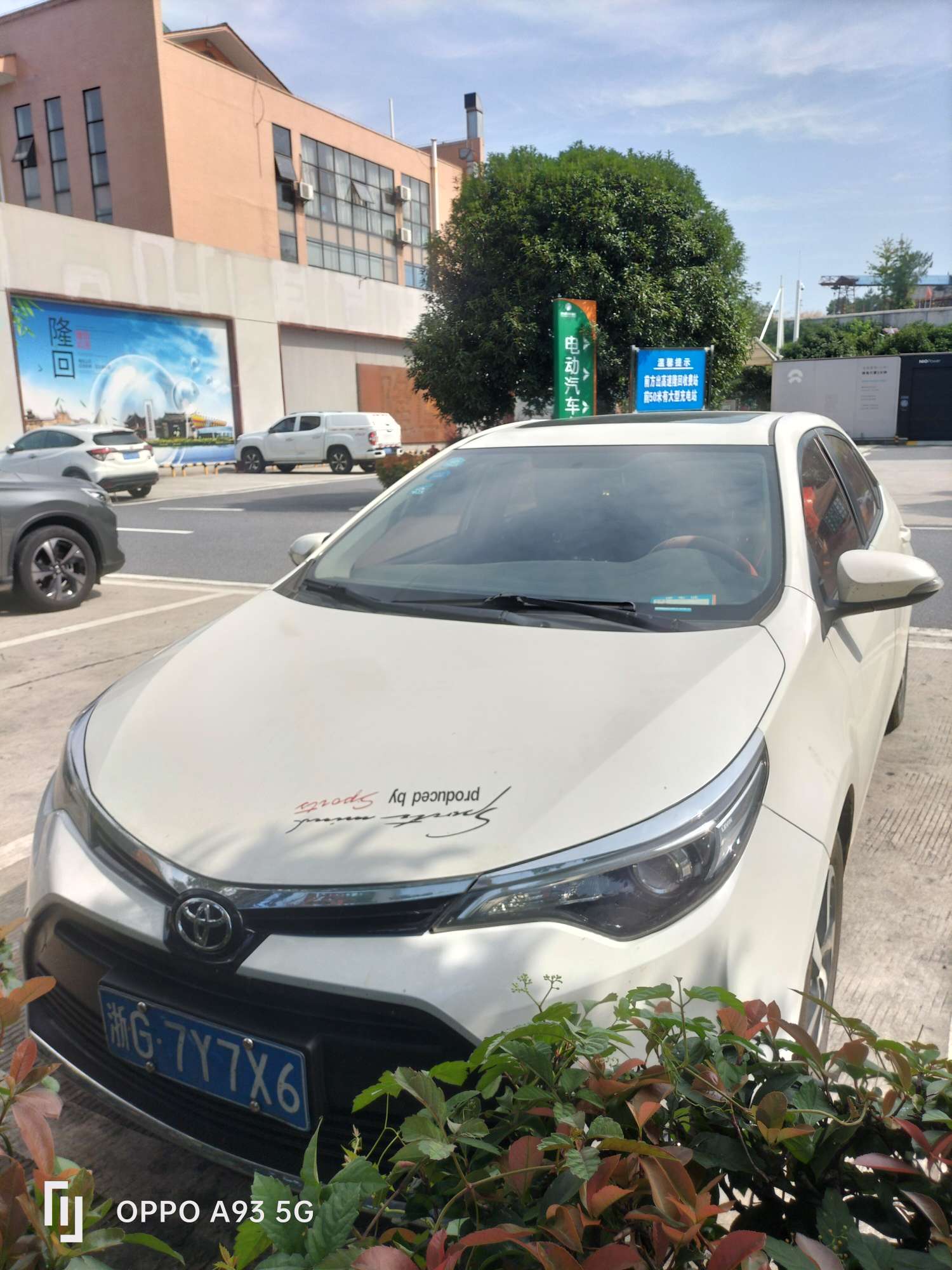 丛丛相亲交友平台