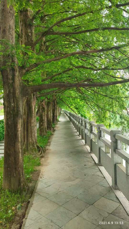 丛丛相亲交友平台