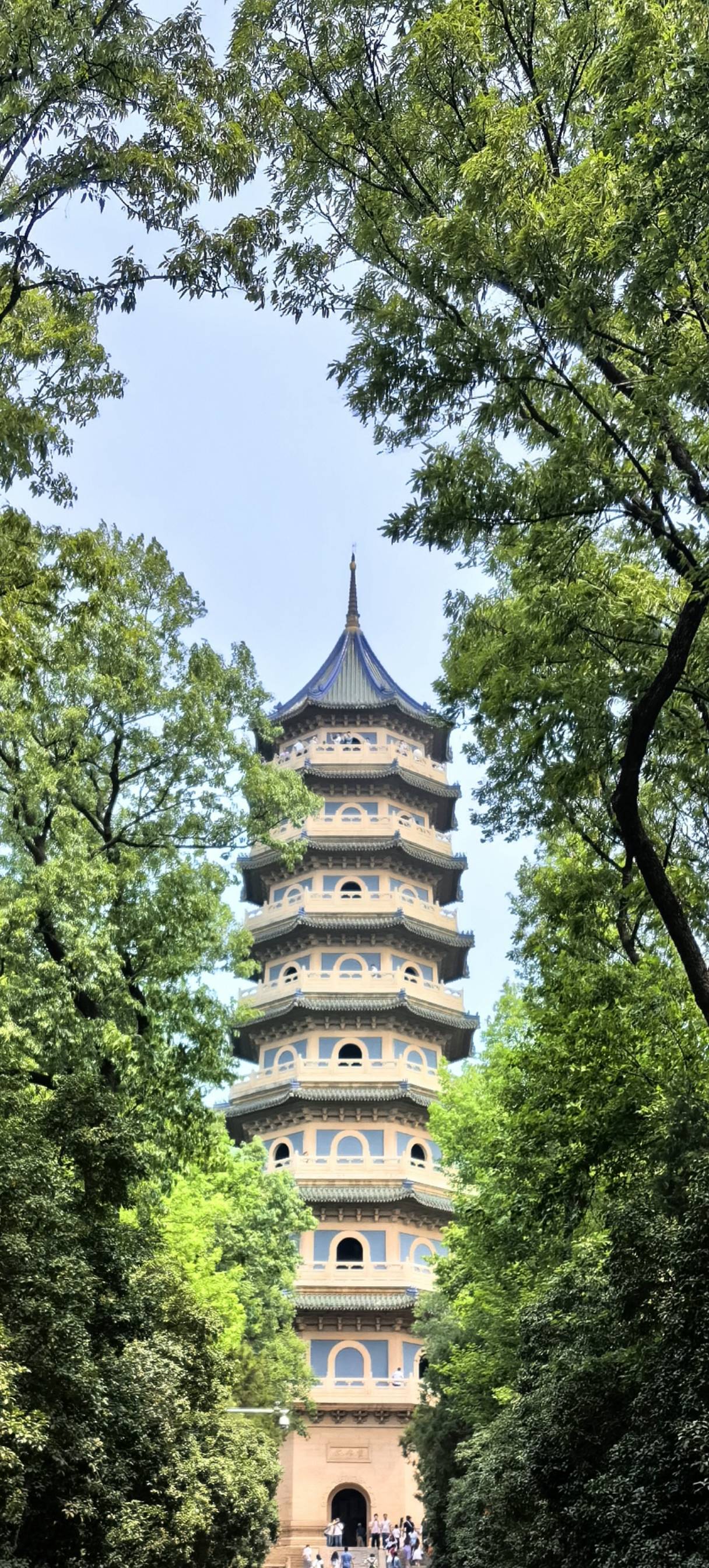 丛丛相亲交友平台