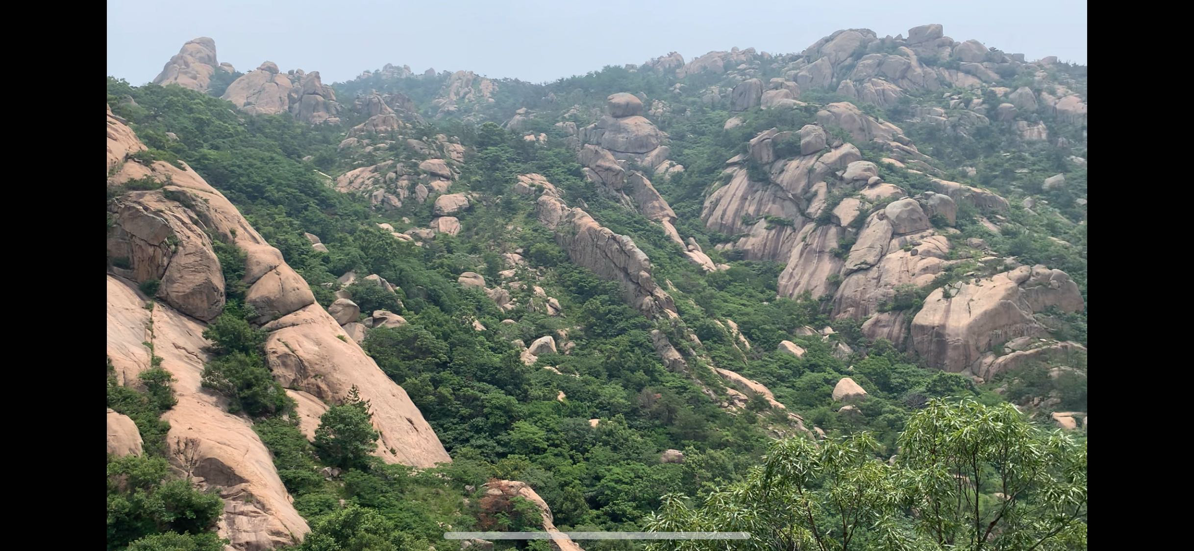 丛丛相亲交友平台