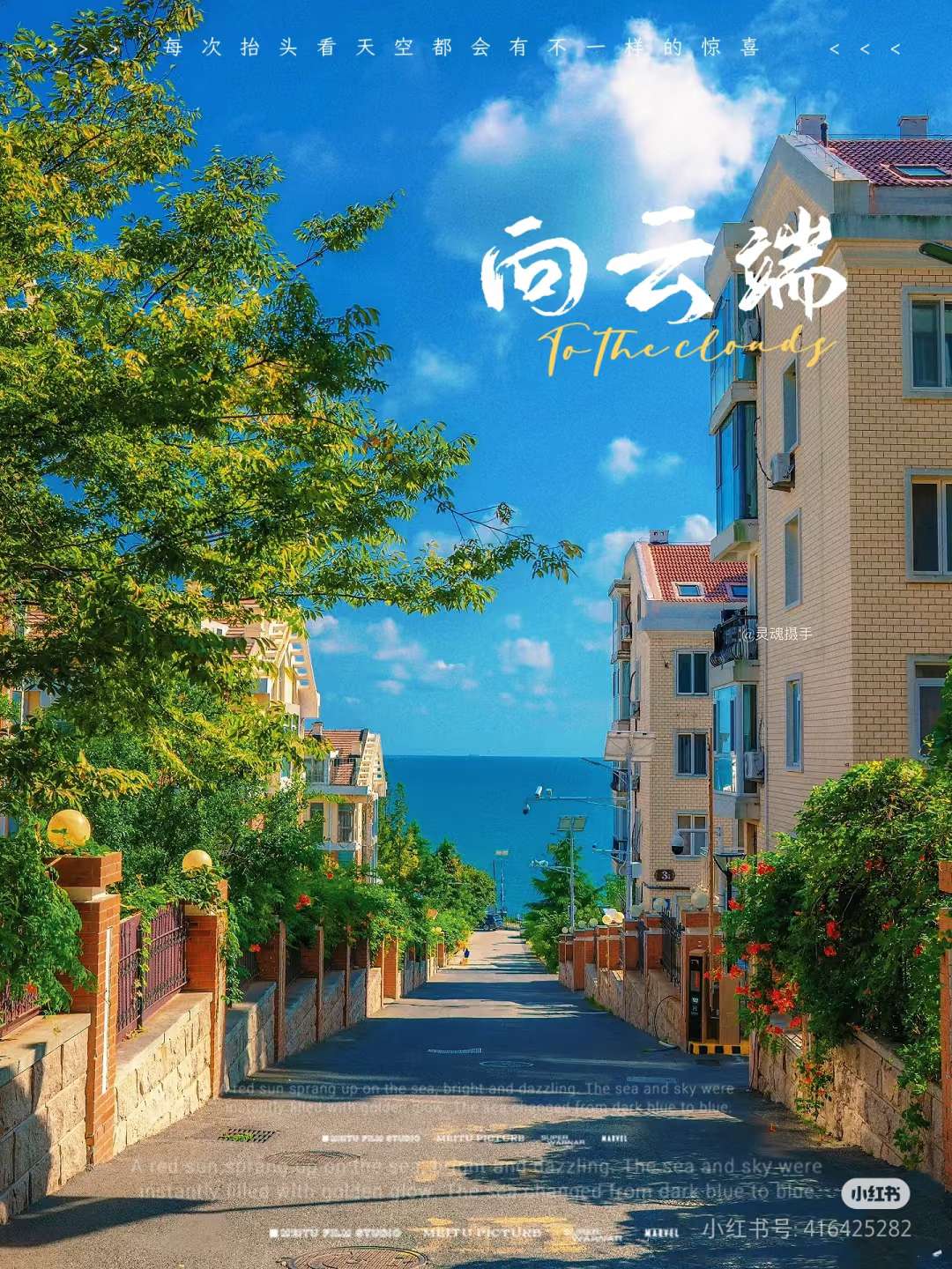 丛丛相亲交友平台