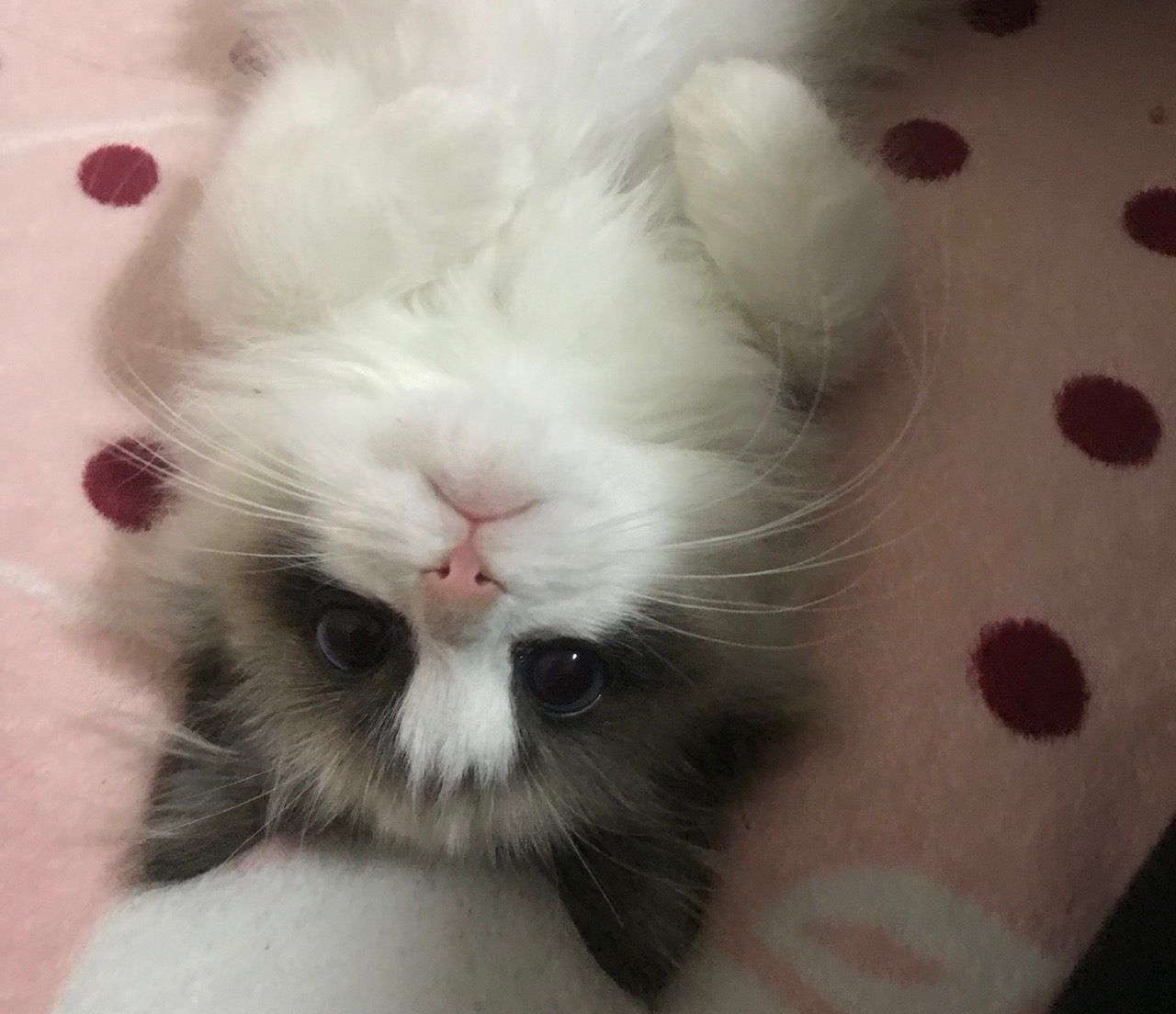 找搭子