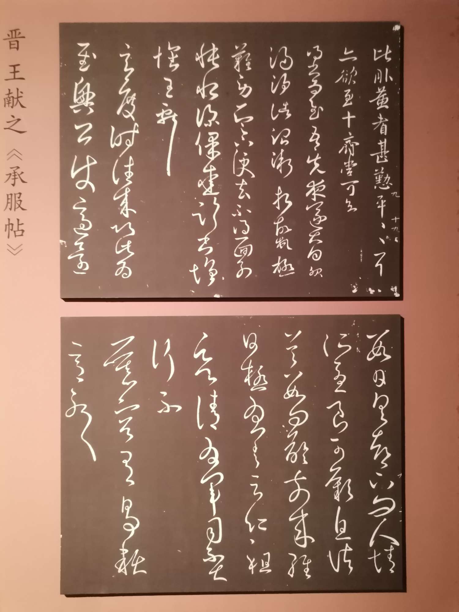 丛丛相亲交友平台