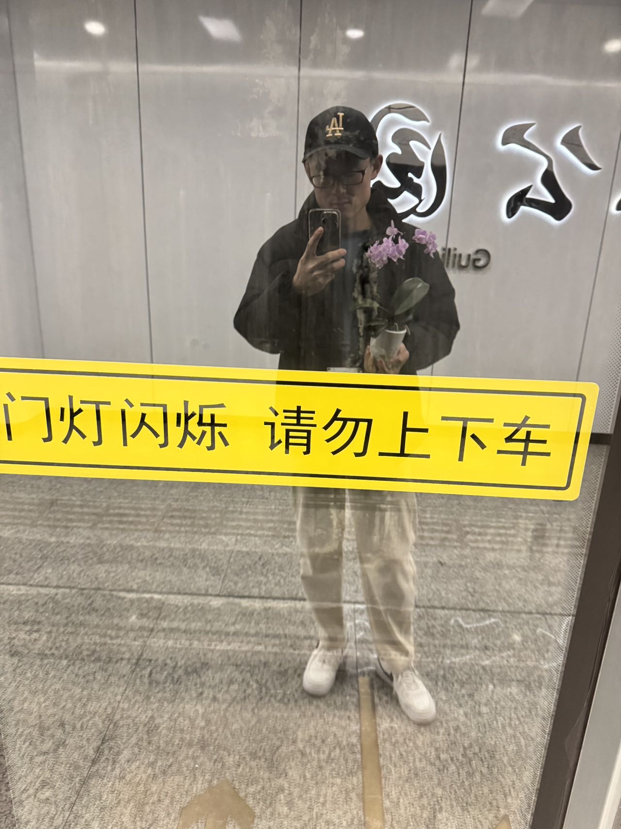 丛丛相亲交友平台
