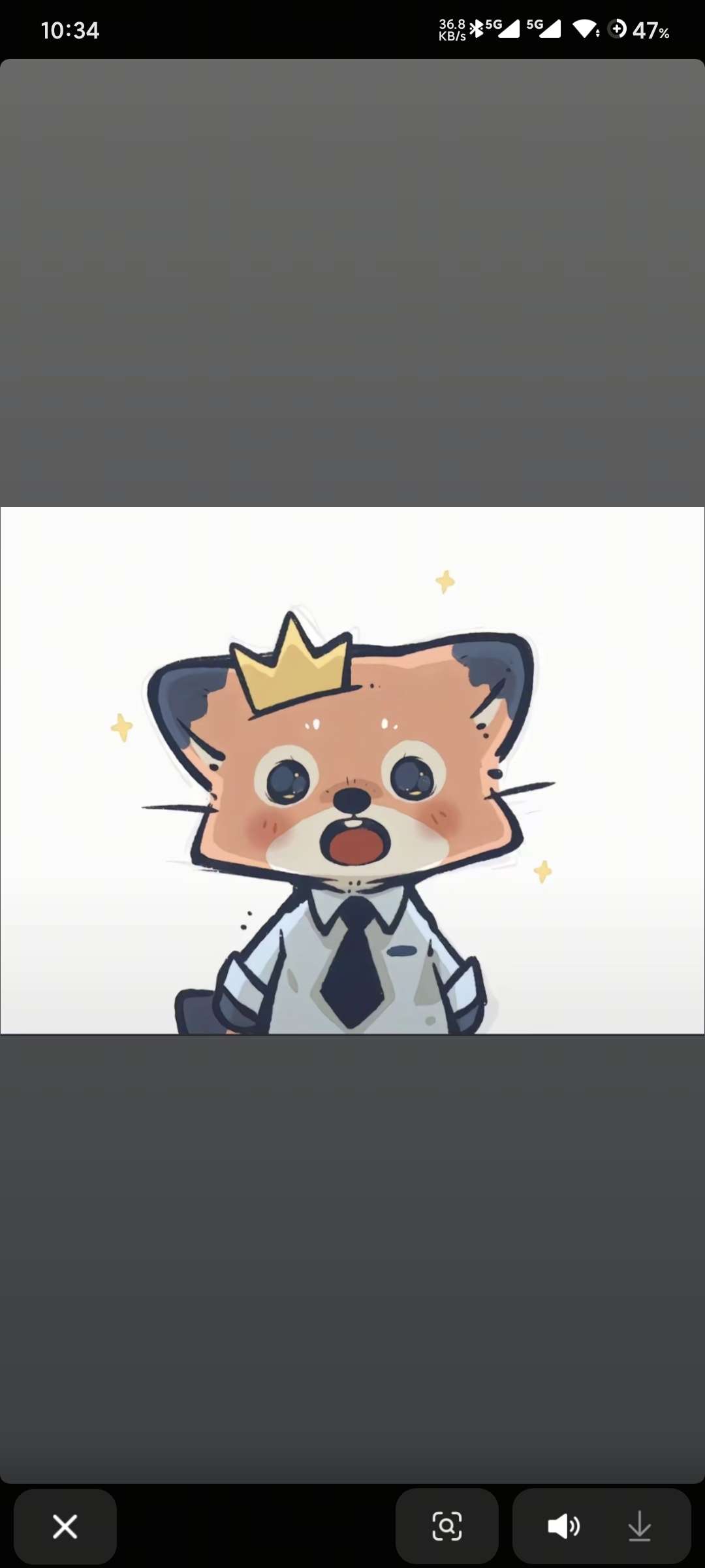 丛丛相亲交友平台
