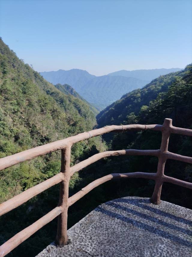 丛丛相亲交友平台