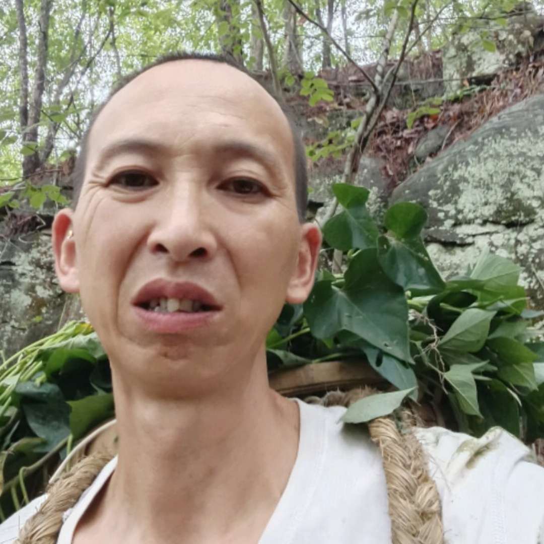 丛丛相亲交友平台