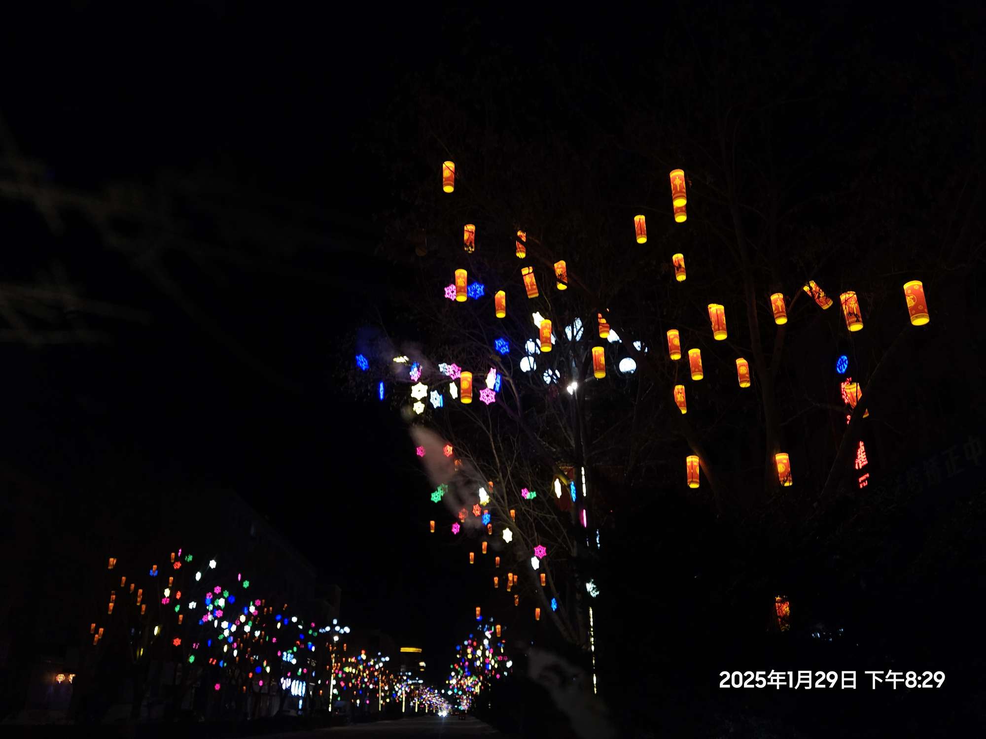 丛丛相亲交友平台