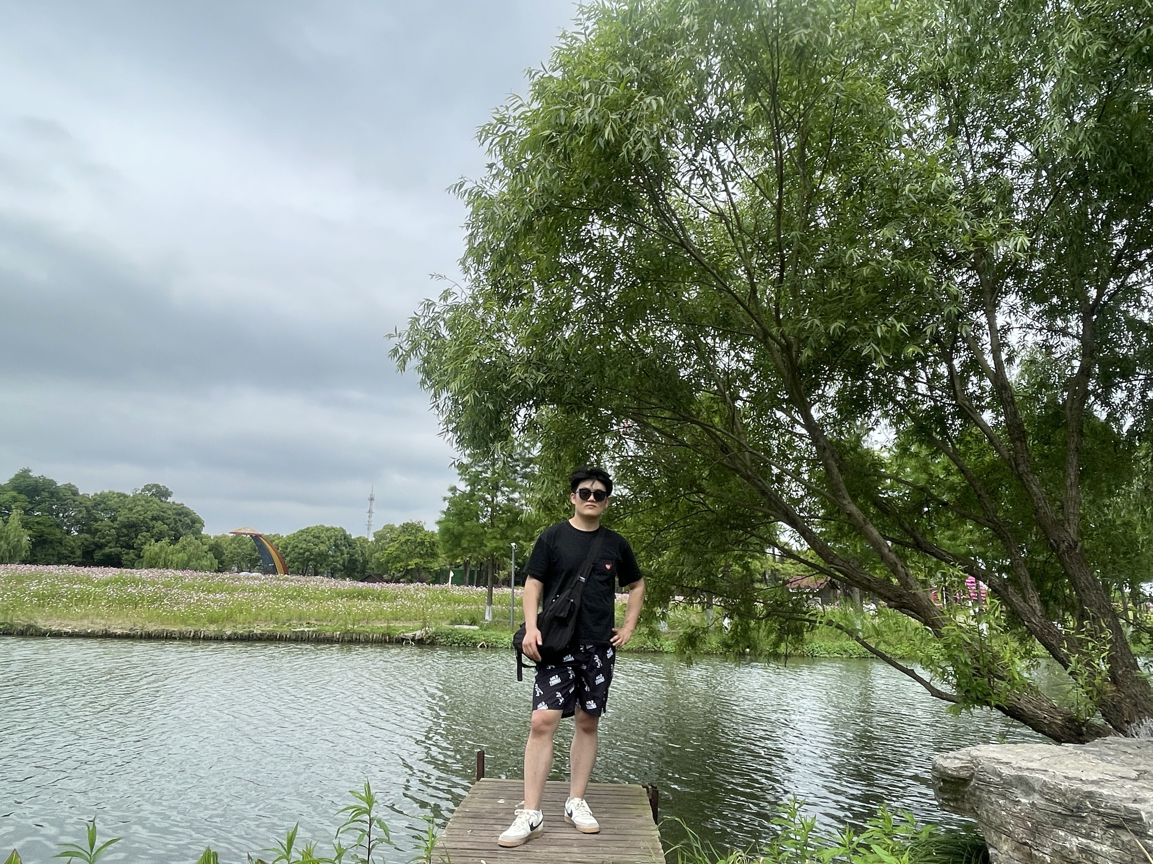 丛丛相亲交友平台