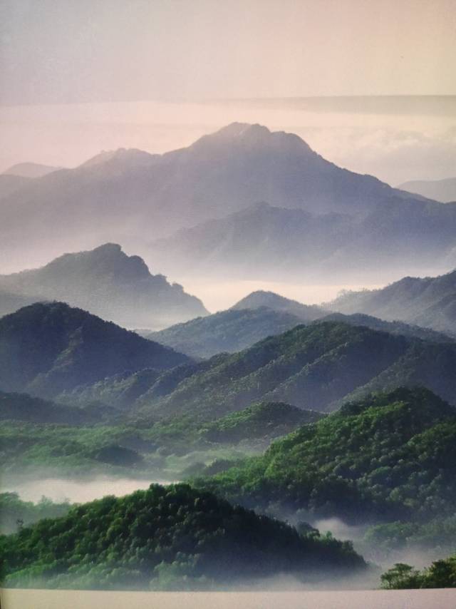 丛丛相亲交友平台