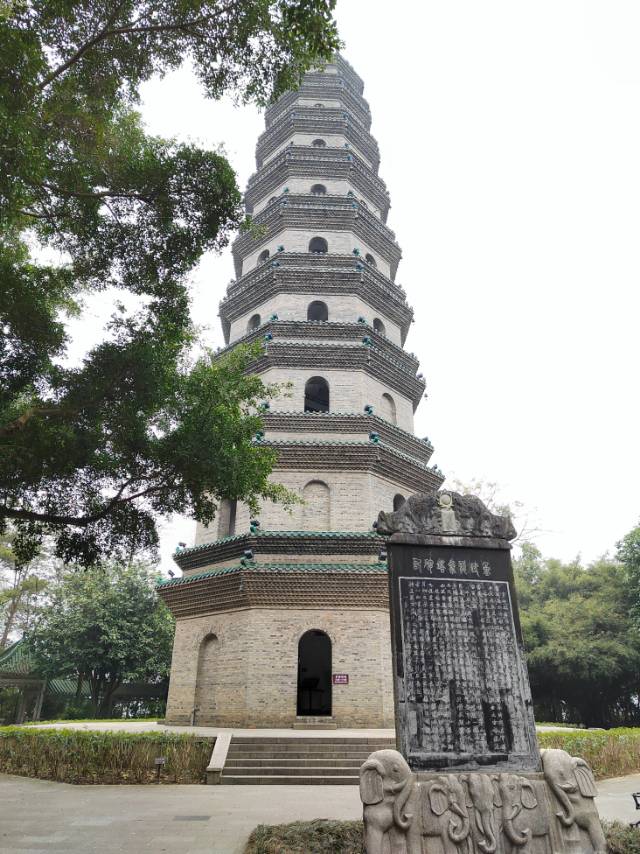 丛丛相亲交友平台