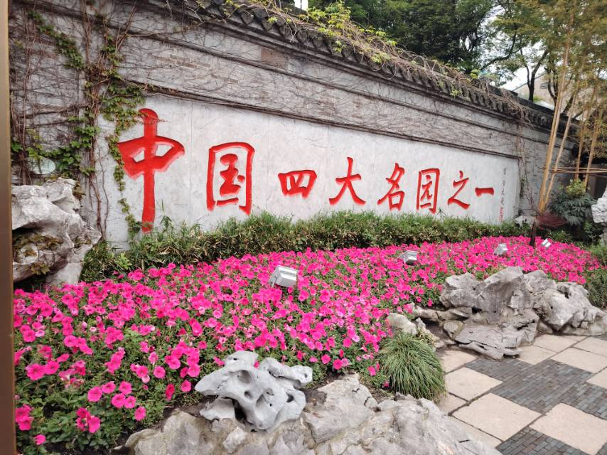 丛丛相亲交友平台