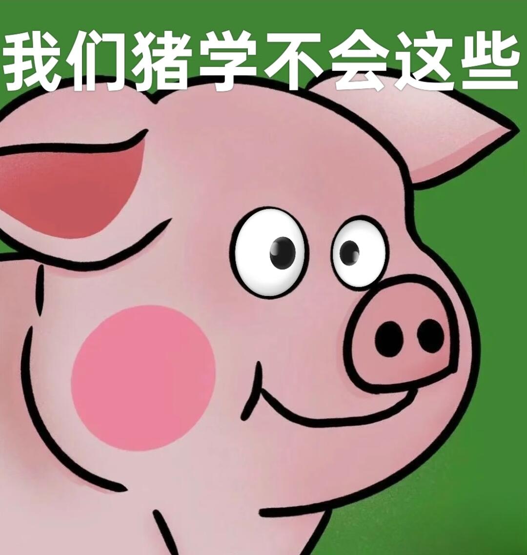 丛丛相亲交友平台