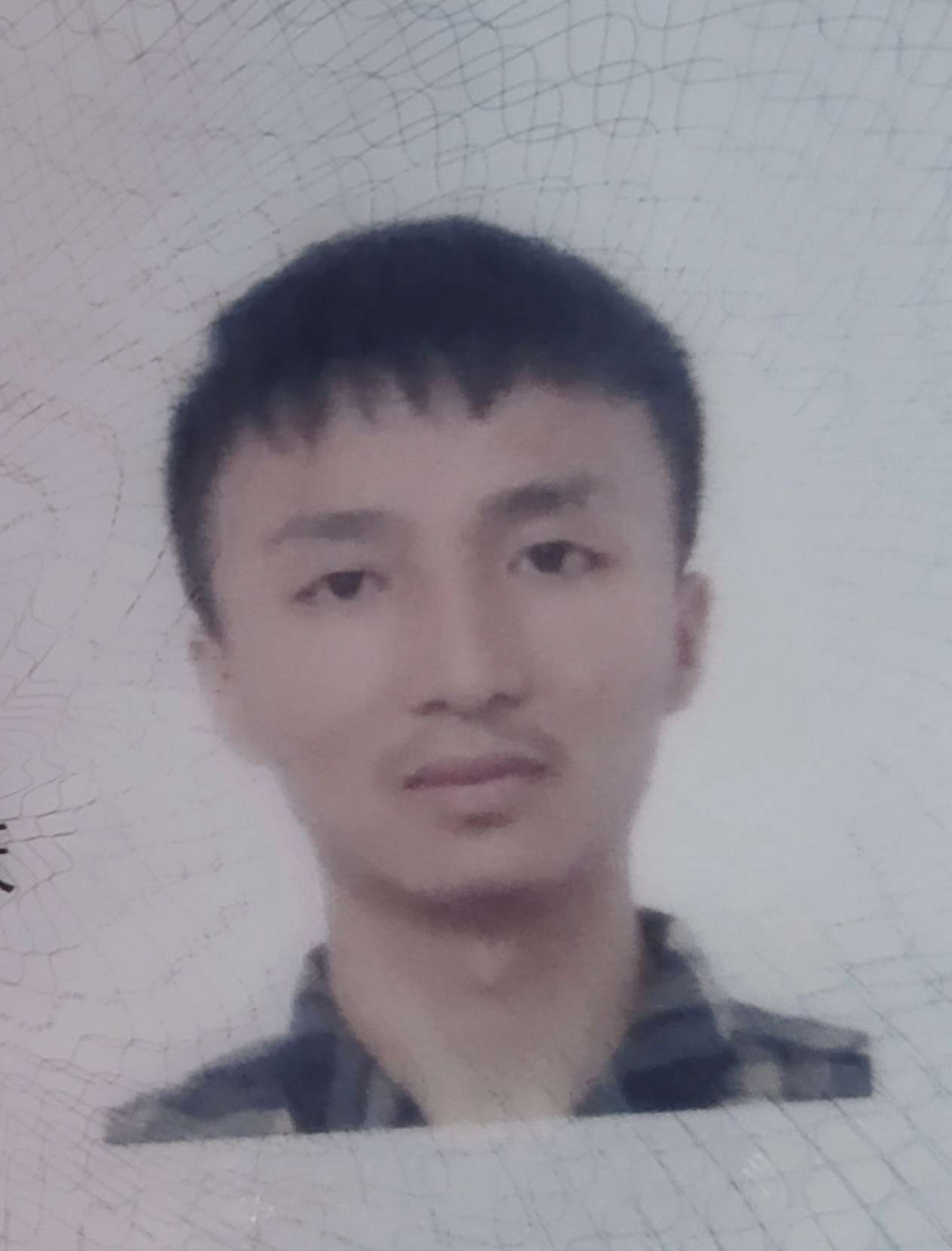 丛丛相亲交友平台