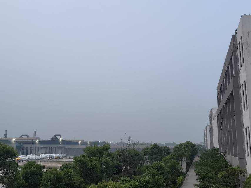 丛丛相亲交友平台