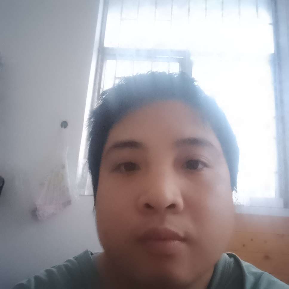 丛丛相亲交友平台