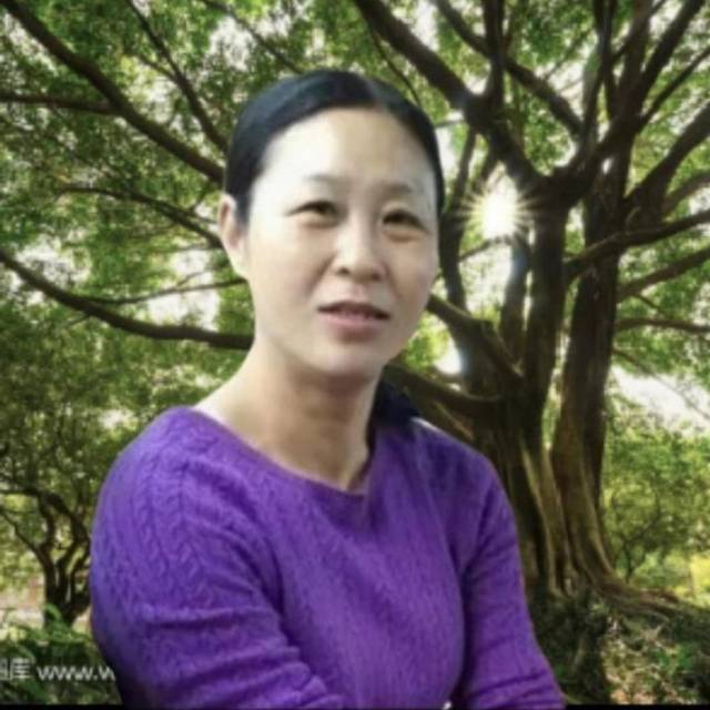 丛丛相亲交友平台