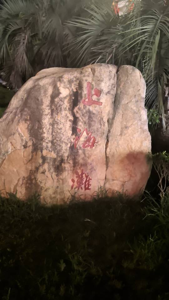 丛丛相亲交友平台