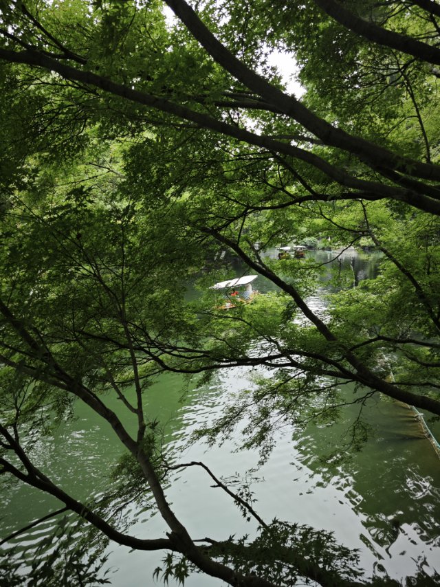 丛丛相亲交友平台