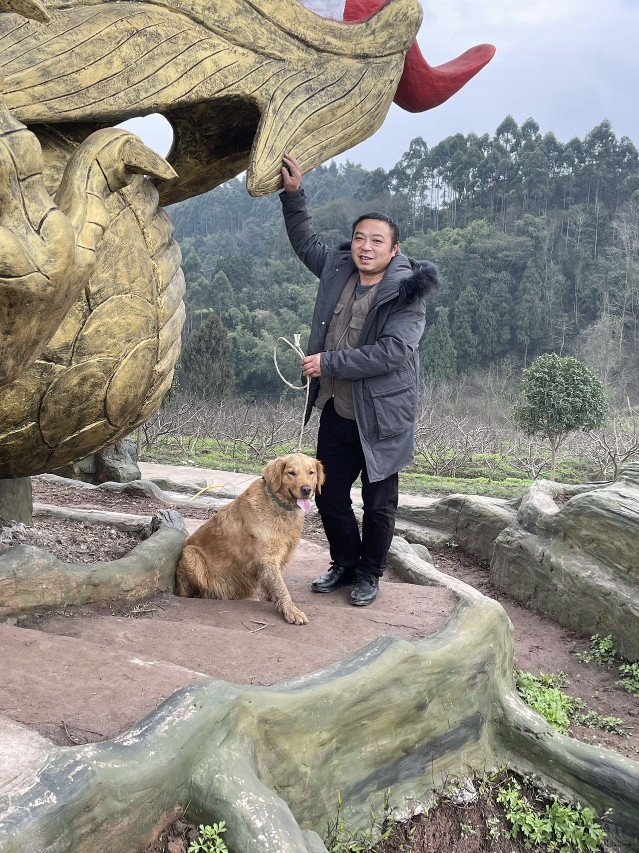 丛丛相亲交友平台